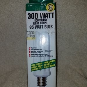 300 watt light bulb
